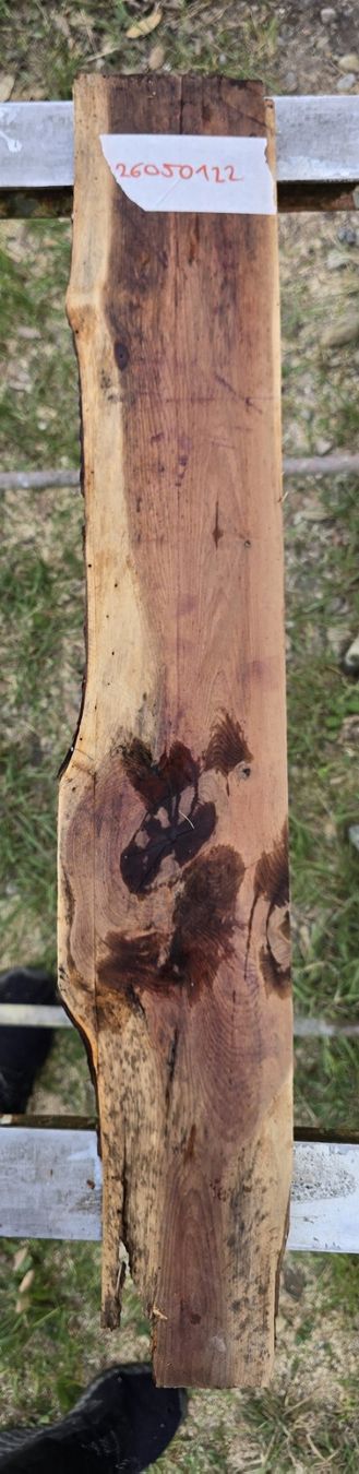 Articoli in legno: Altes Holzbrett  – Usato da Rorschacherberg venduto da snOOpydOg11