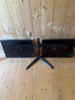 2x Philips 240S Monitore mit Doppelmonitorständer gebraucht