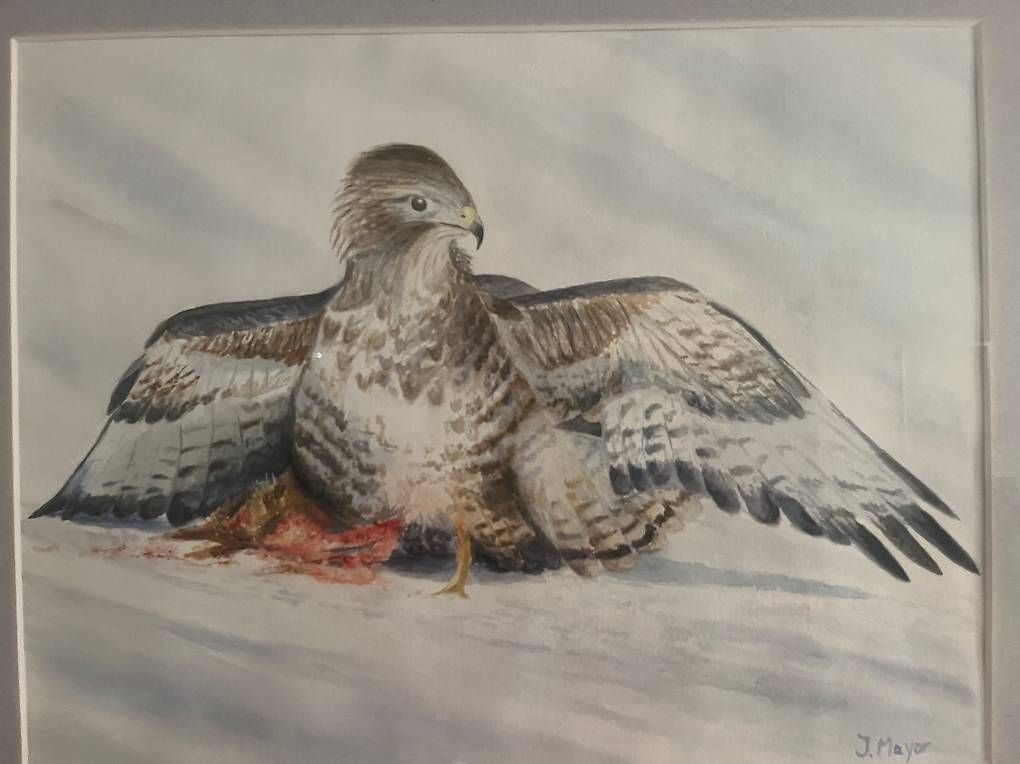 Dipinti: Aquarelle – Usato da Chevroux venduto da ateca2017