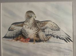 Aquarelle