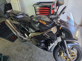 aprilia tuono 1000