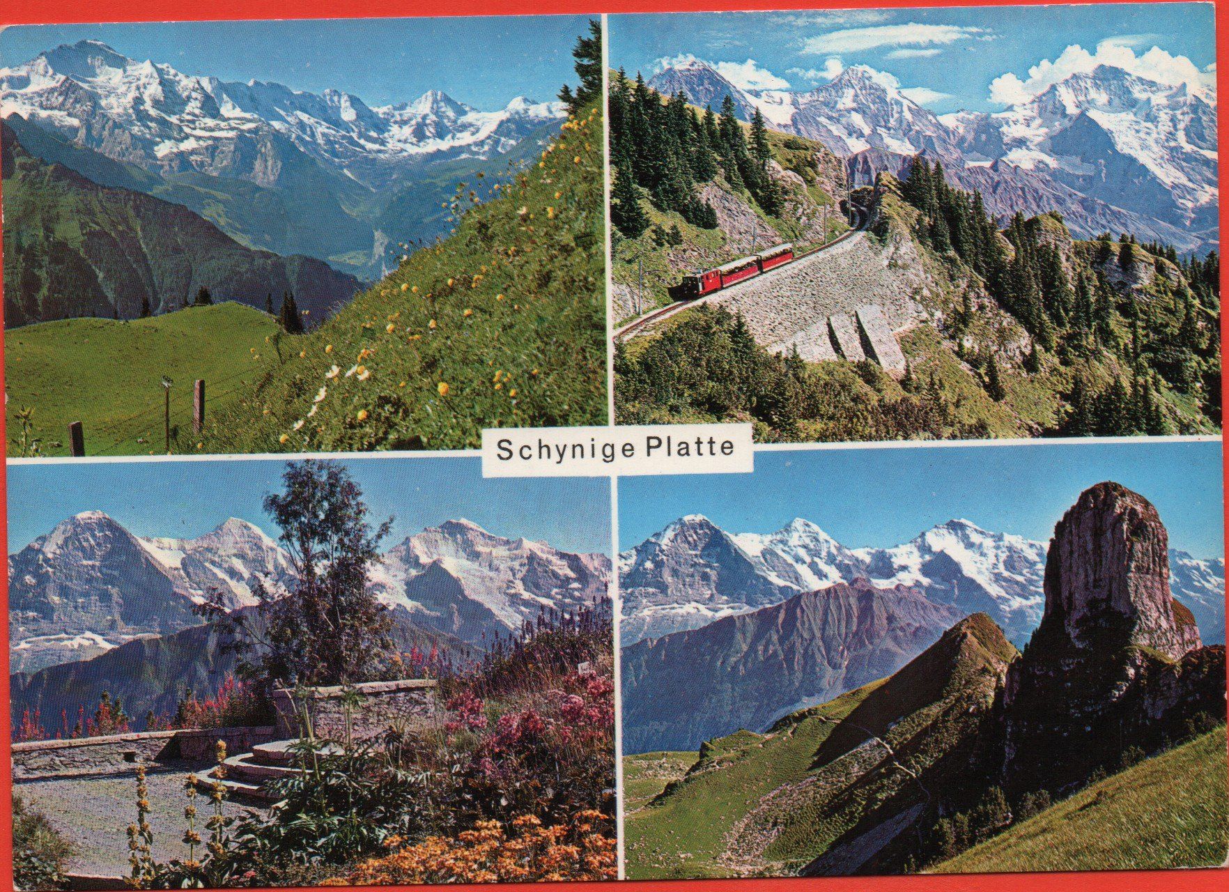 Ansichtskarten: 4 Ansichtskarten SCHYNIGE PLATTE Hotel, Bahn, Alpenblumen – Neu (gemäss Beschreibung) aus Jona von philajona 3