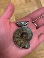 Silberanhänger Ammonit Fossil