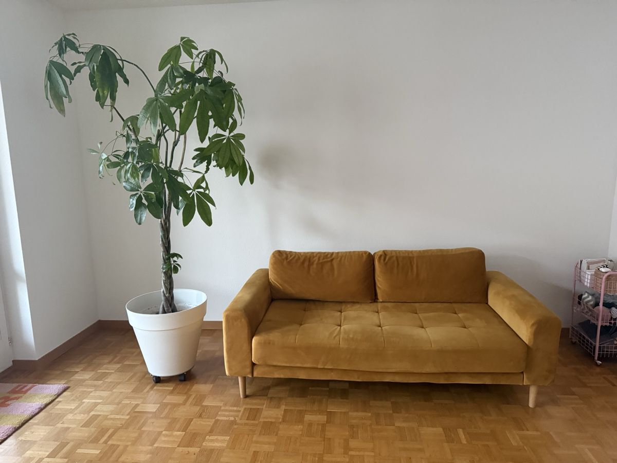 Sofas: Sofa in Senfgelb mit Eichenholzfüssen – D'occasion à Zürich par matthea.sophie 2