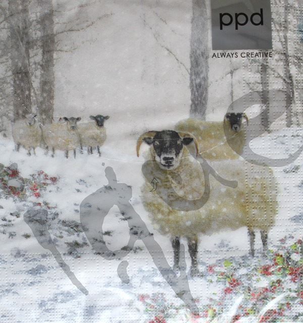 Tovaglioli: Serviette highland sheep (1362) 2Stk. – Nuovo (secondo la descrizione) da Schlatt TG venduto da kreativ-atelier