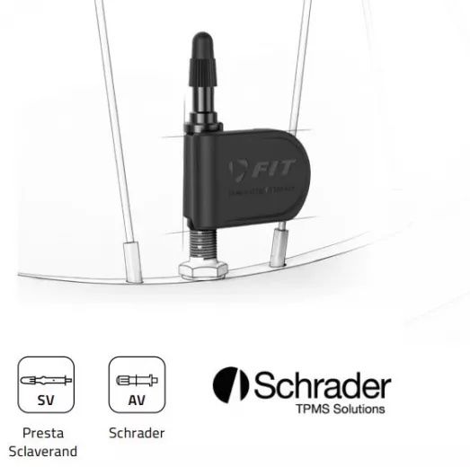 Pezzi di ricambio: FIT 2.0 REIFENDRUCKSENSOR (Set: 2 Stk.) – Nuovo e nell'imballaggio originale da Stallikon venduto da Shagol