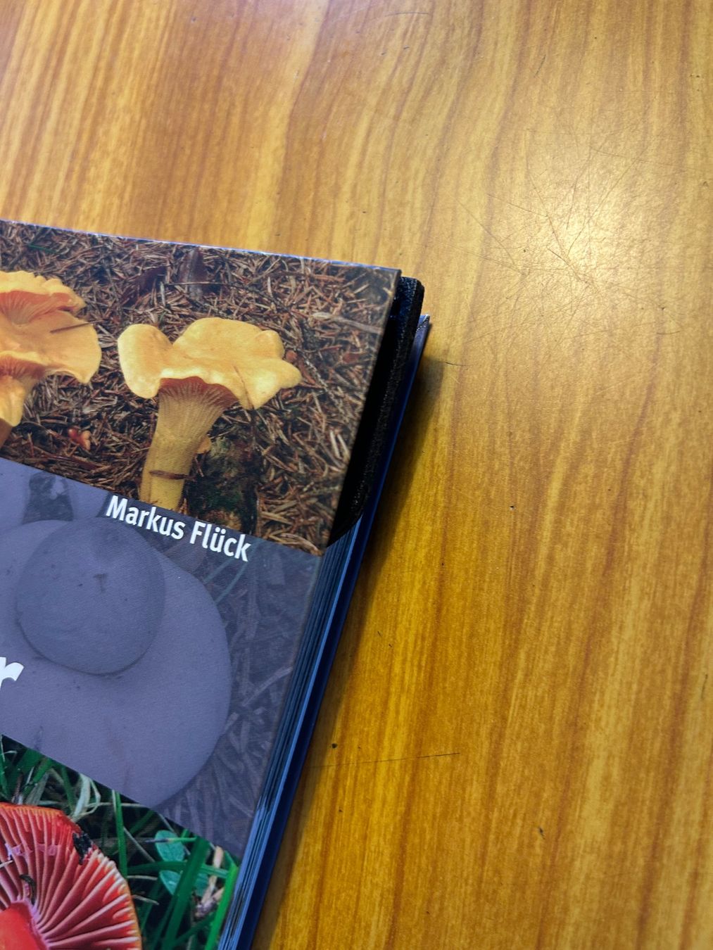 Altre raccolte & rarità: Buchzeichen Lesezeichen Buch Herz Kunstleder – Nuovo (secondo la descrizione) da Steffisburg venduto da smocky17 3
