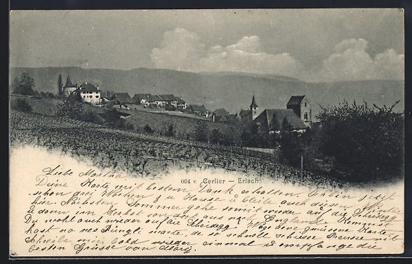 Cartoline postali: Erlach, Ortspanorama von einem Feld aus – Usato da Berlin venduto da bartko-reher