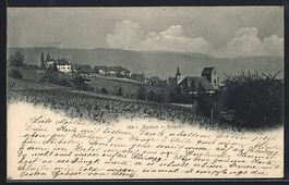 Erlach, Ortspanorama von einem Feld aus