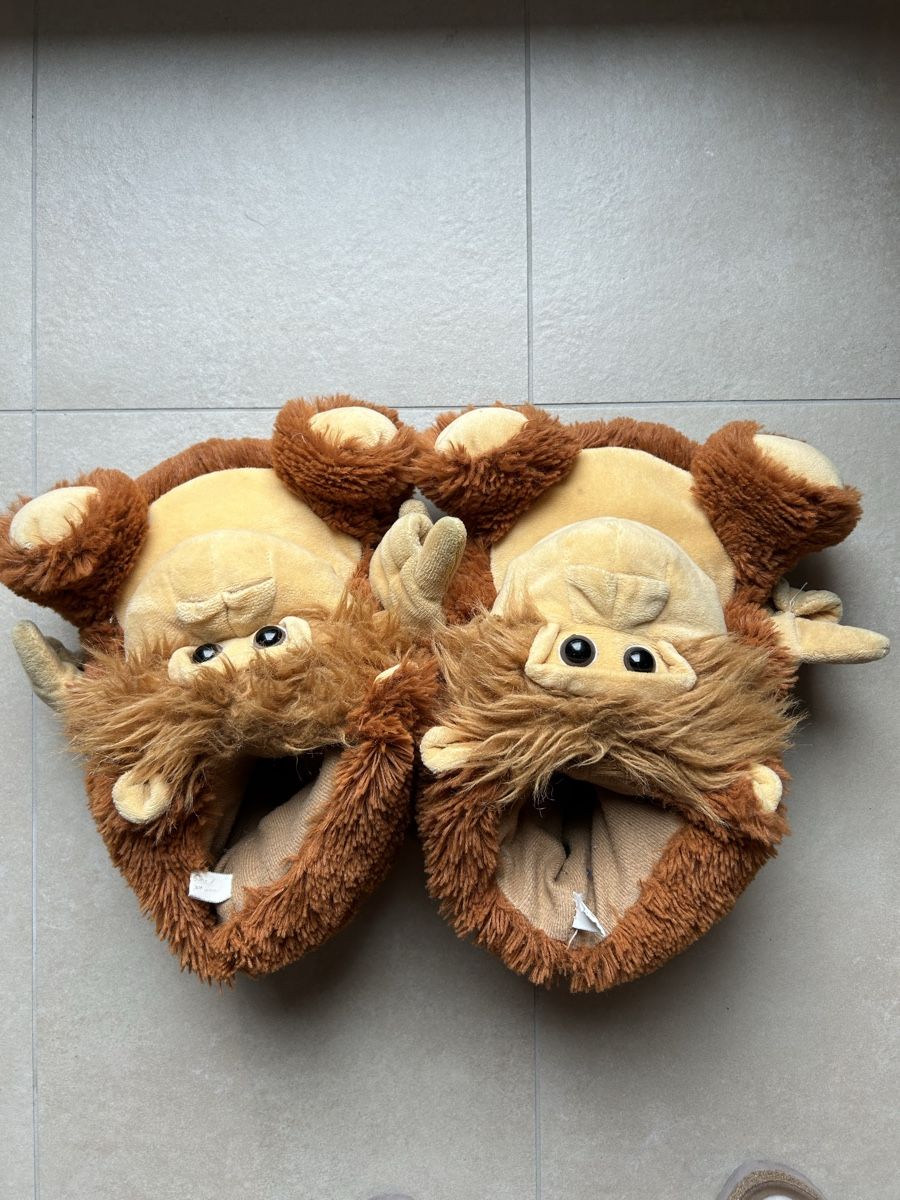 Herrenschuhe: Pantoufles / chausson – Gebraucht aus Founex von etswang