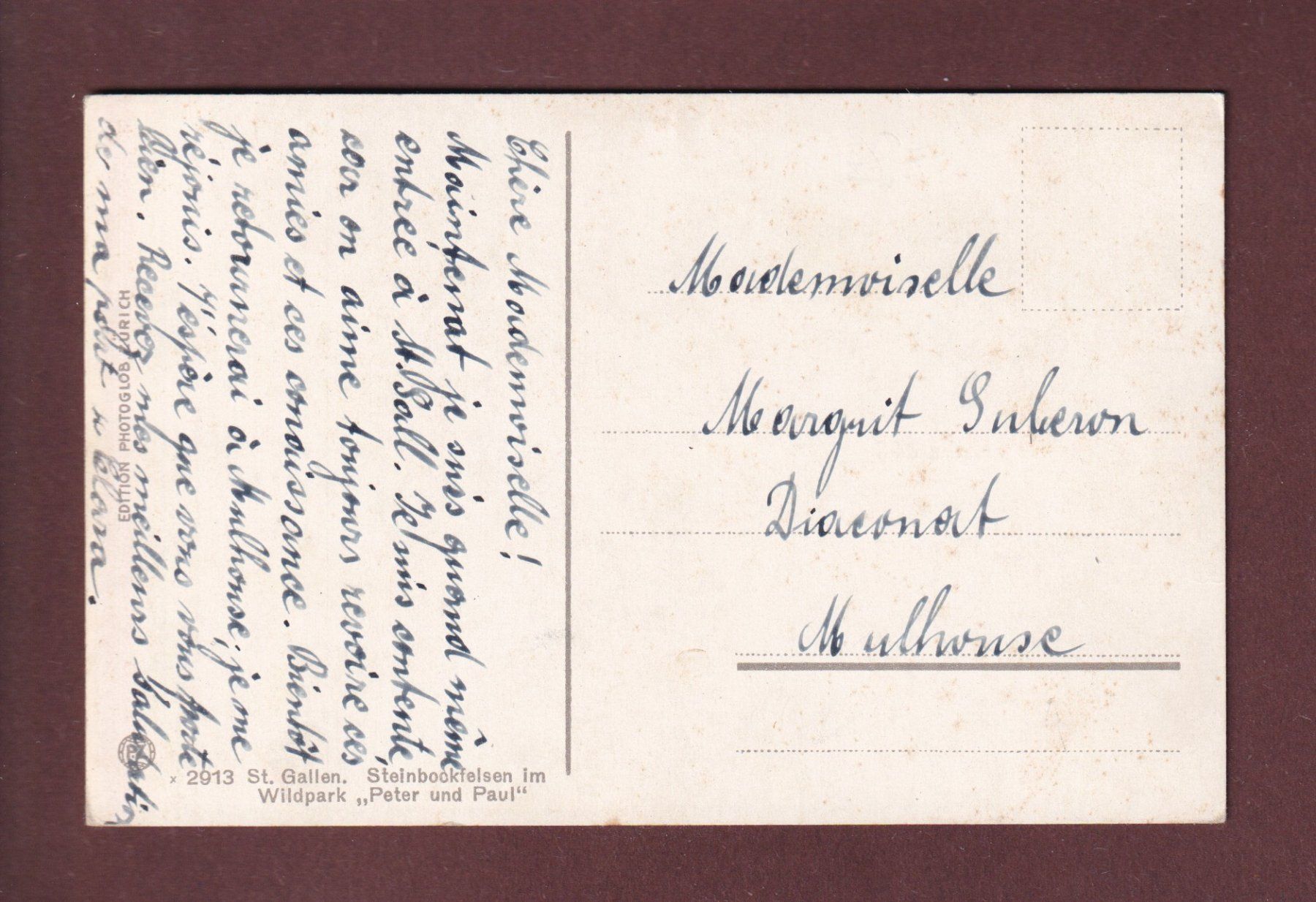 Cartoline postali: ST. GALLEN - Wildpark Peter & Paul - Steinbock – Usato da Pully venduto da nicecards 1