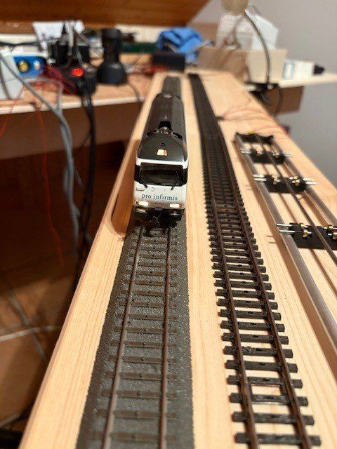 Hag Modellini di ferrovie: HAG Re 460 H0 WS Digital Infirmis – Usato da Regensdorf venduto da Basc 3