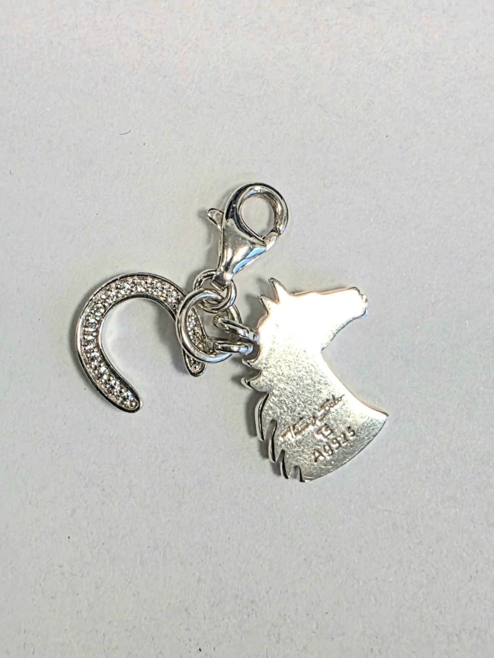 Thomas Sabo Ciondoli: Thomas Sabo Charm Silber 925 – Usato da Madetswil venduto da triforuz 3