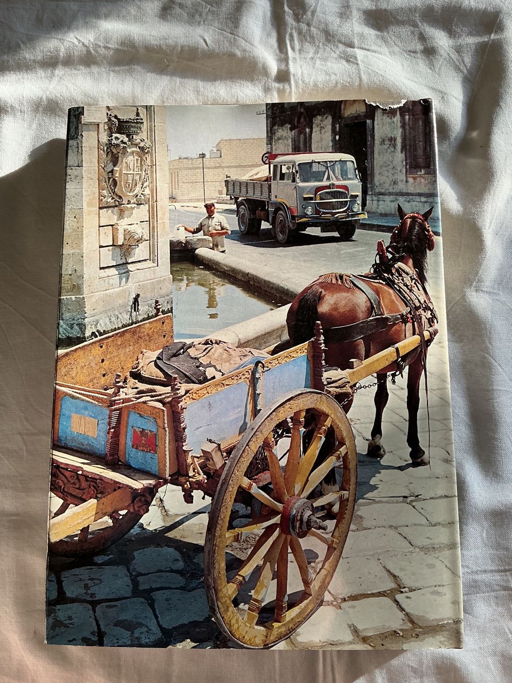 Libri: Silva Buch Sizilien – Usato da Niederhasli venduto da ercp4 1