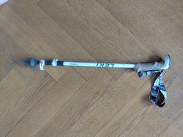 Wanderstock leki (x1)