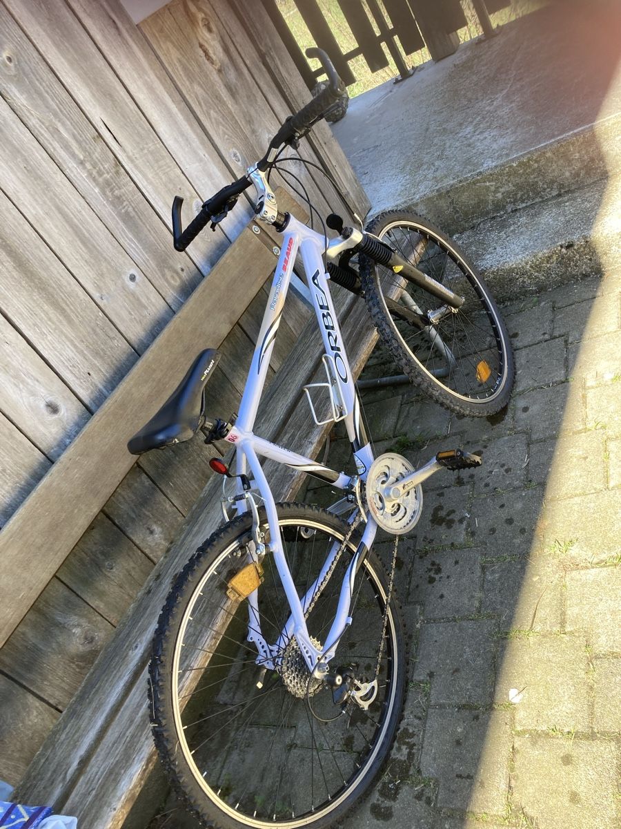 Orbea Biciclette: Orbea Paradise Mountainbike – Usato da Jaun venduto da walin2 1