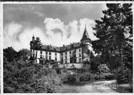 Kurhaus. Schloss Steinegg b.Hüttwilen 39