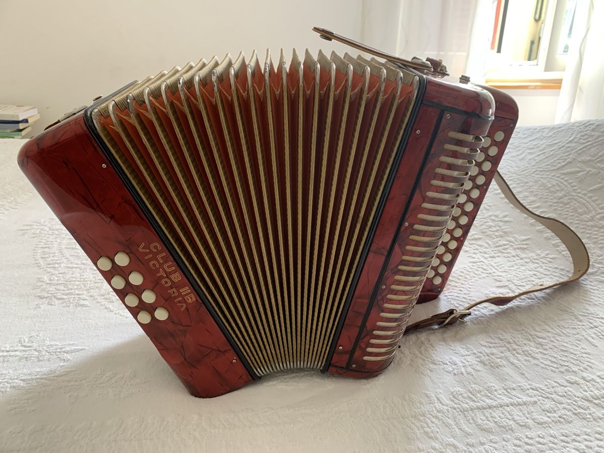 Hohner Strumenti musicali: Diatonische Handorgel Hohner – Usato da Zürich venduto da Olimpied 2