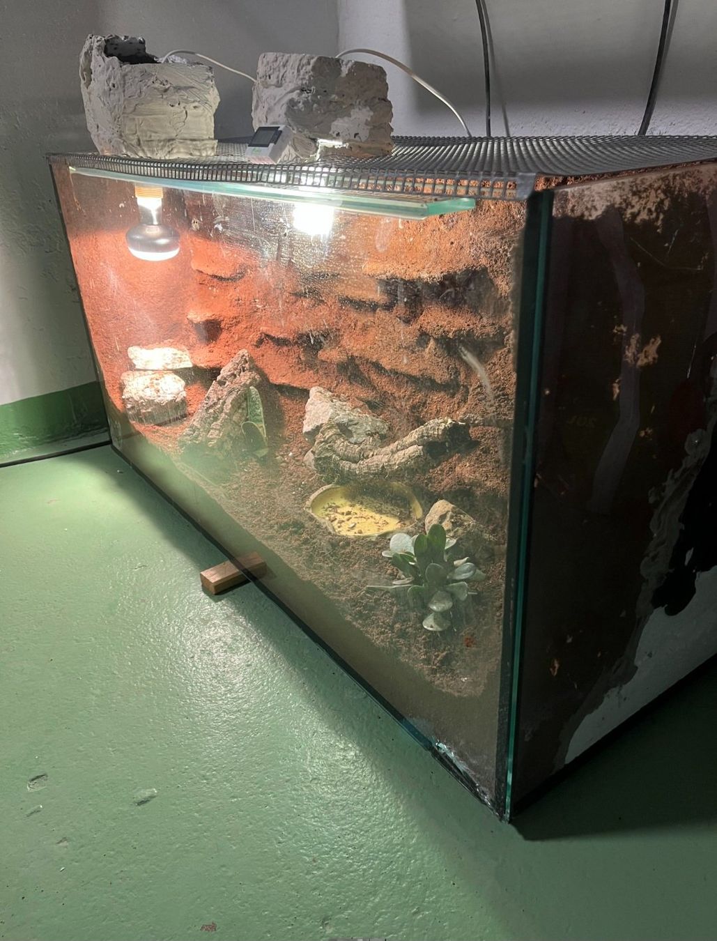 Terrariums: Terrarium – D'occasion à Bern par Babs800 4