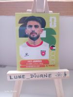 Carte Panini World Cup 2026 Amer Jamous JOR14