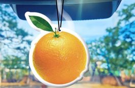 Duftbaum Wunderbaum Frischer Orangen 🍊 Duft