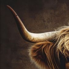 Profile image of Sabina8802