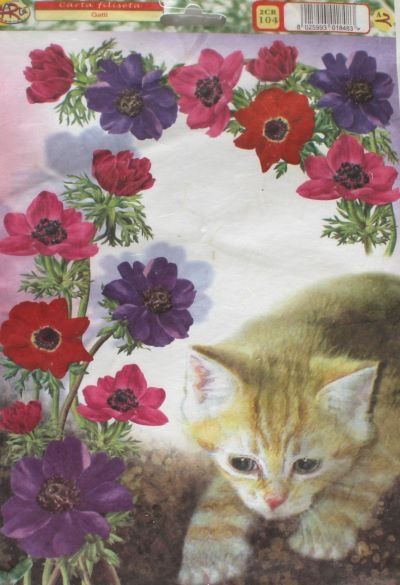 Carta: Découpage Papier Tiere – Nuovo e nell'imballaggio originale da Schlatt TG venduto da mavo85 2