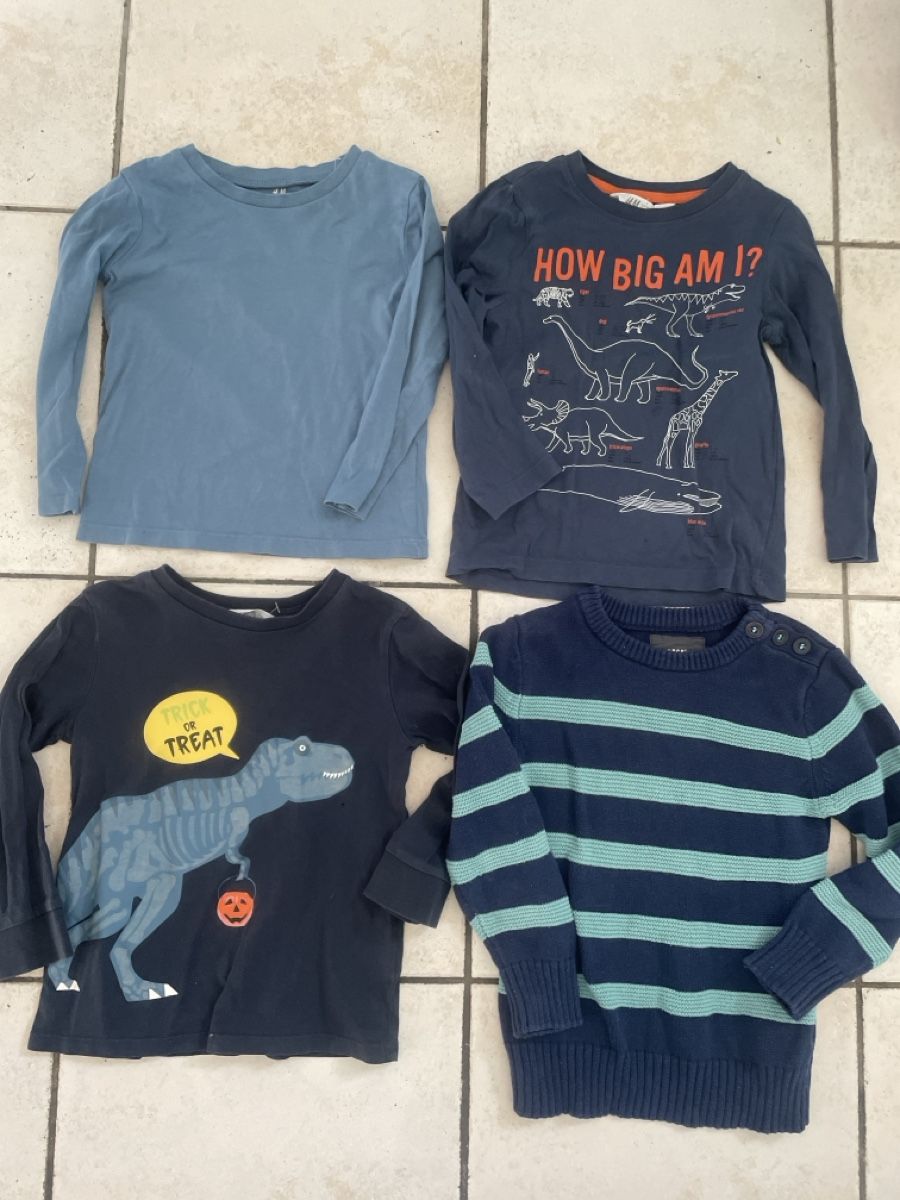 H&M Pullover & Sweatshirts: 4 H&M Pullover Gr.98/104 Dino 🦕 – Gebraucht aus Obergerlafingen von cabo4