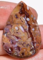 Cabochon L-2021 – Palmenwurzel Achat 32x22x5mm - 29 Ct.