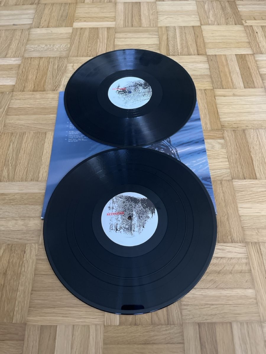 Schallplatten: Various Psy-Trance LP Compilation Doppel Vinyl – Gebraucht aus Wangen b. Olten von break72 3