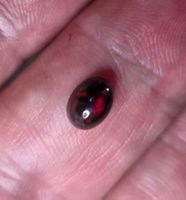 0,8 ct Opale noire naturelle à reflets floraux