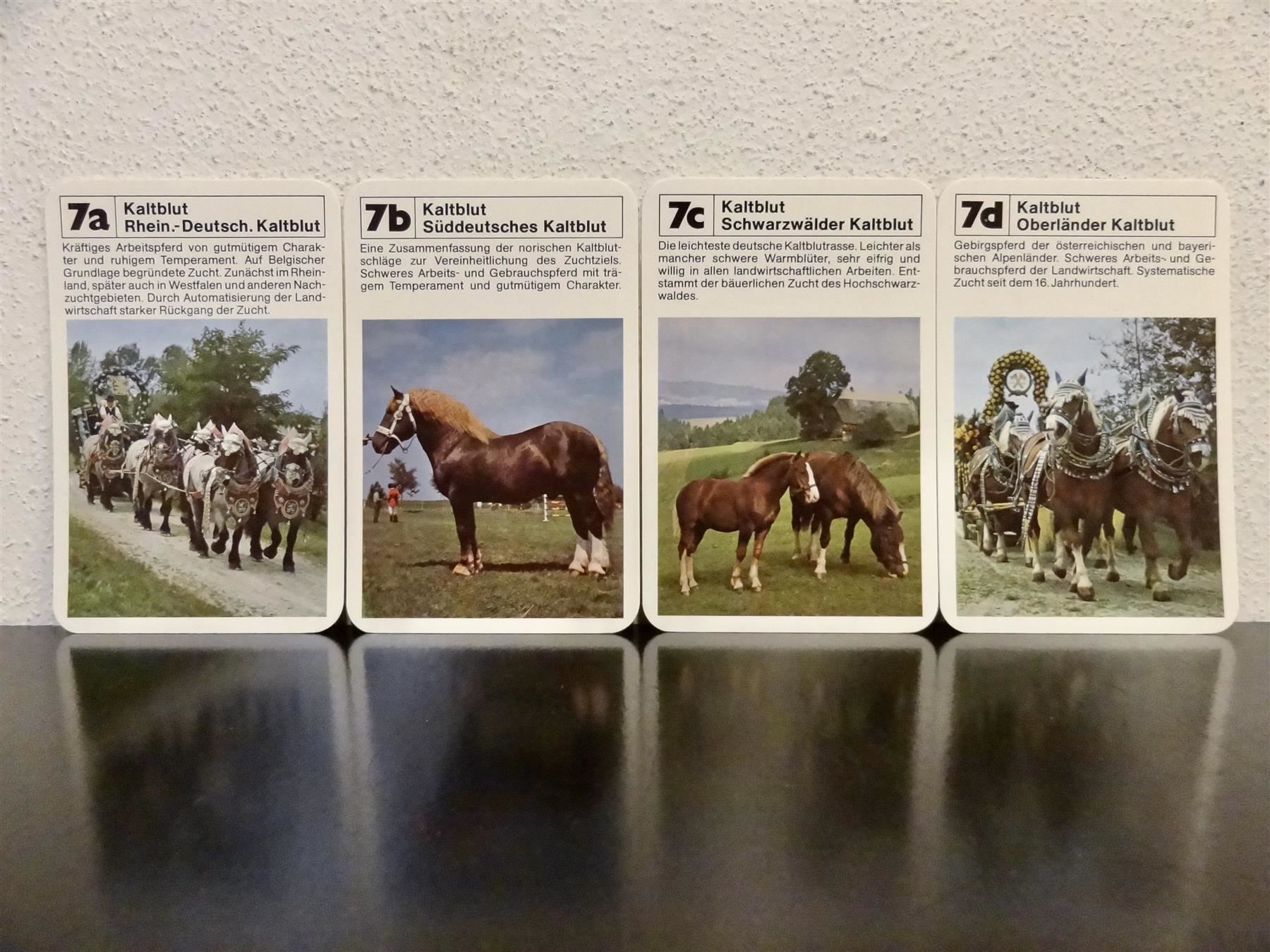 Ravensburger Giochi: Quartett TIER-QUARTETT PFERDE PFERD – Usato da Kerzers venduto da wisaundso 8