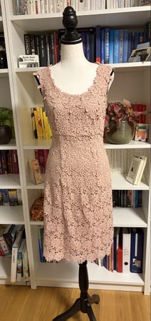 Phase Eight Spitzenkleid Gr. UK 8 / DE 36 – Rosé 
