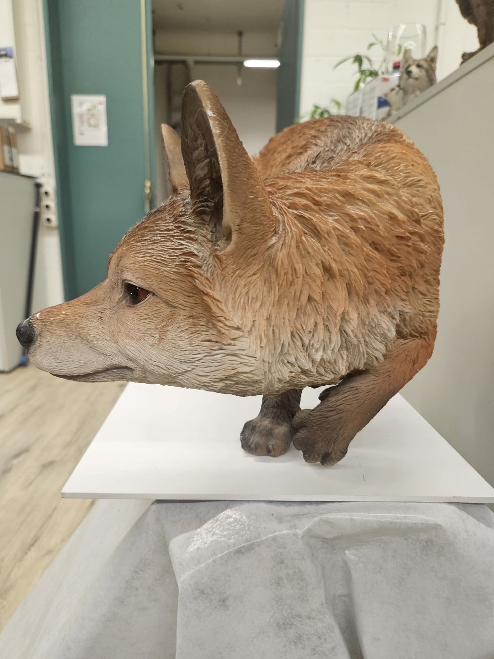 Statuette: Fuchs 60 x 32 cm gross – Nuovo (secondo la descrizione) da Dielsdorf venduto da Kenan997 1