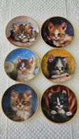Süsse Sammlerteller Katzenportrait, 6-teilig Büsi Katzen