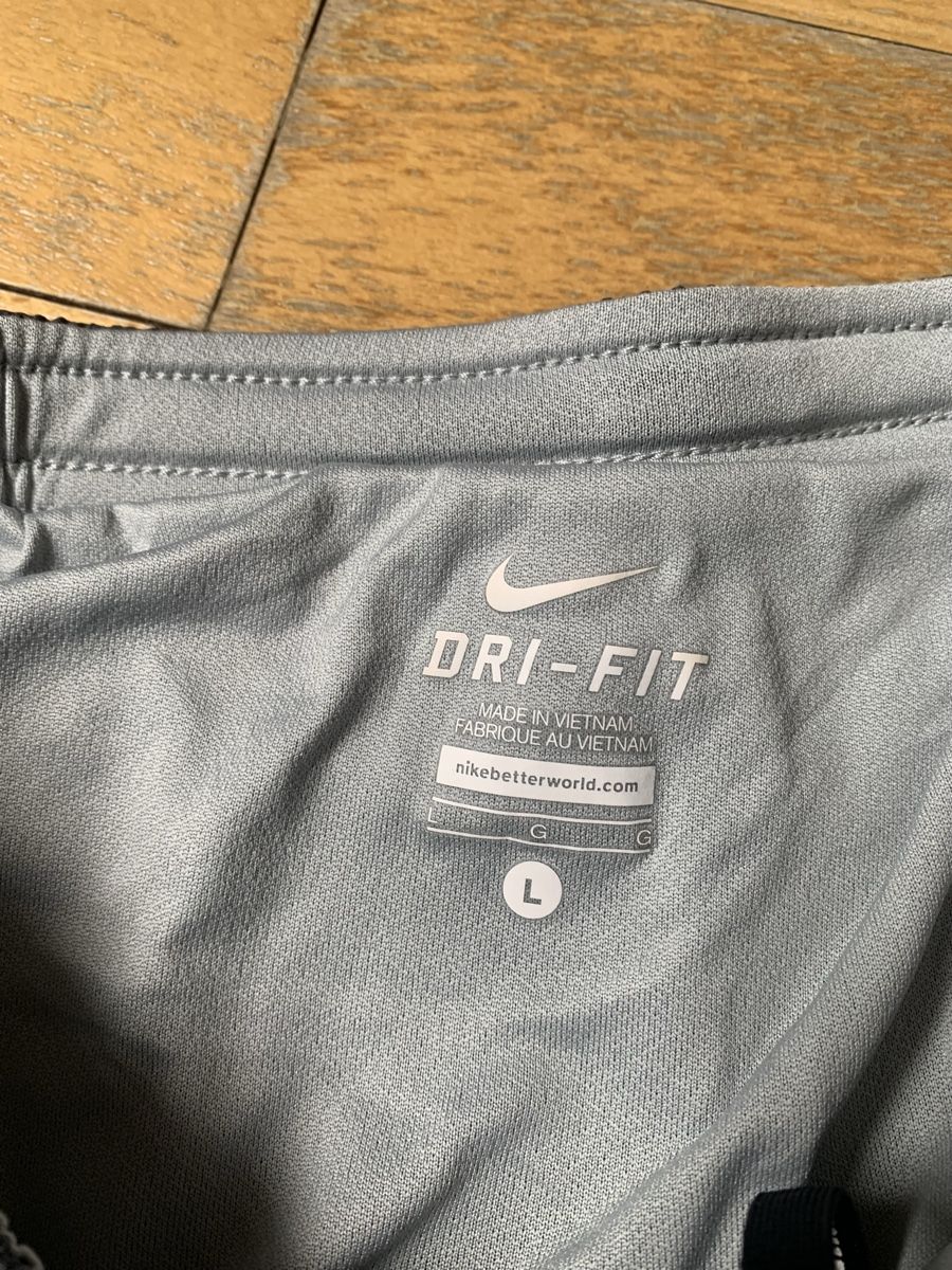 Nike Pantaloni: Nike Shorts grau L – Usato da Bern venduto da adip 1