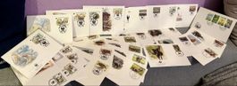 Grand lot WWF sur Enveloppes illustrées !
