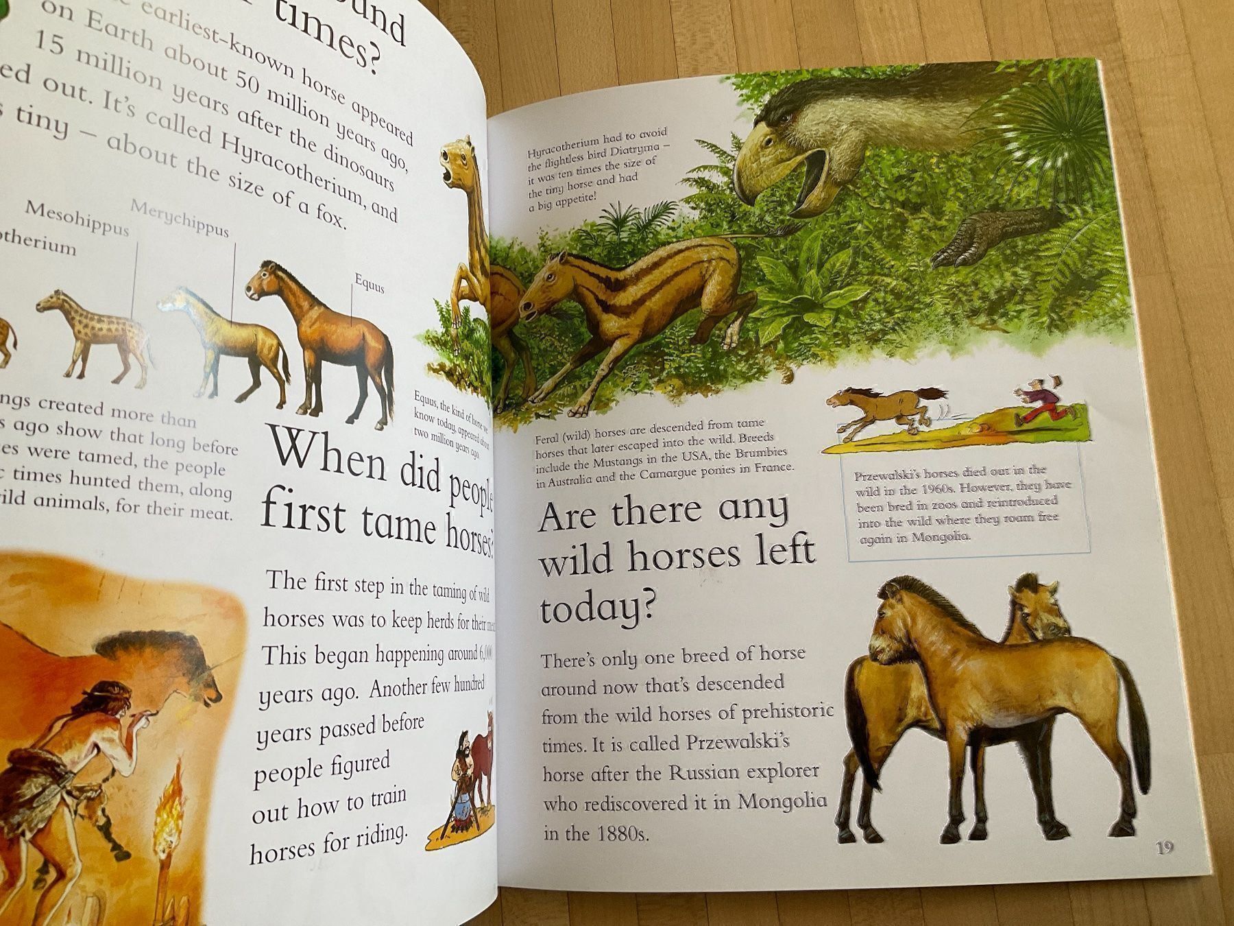 Libri: Pony book – Usato da Winterthur venduto da aionila 2