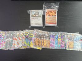 Pokemon Pitch Black Bulk inkl. 50 EX Karten