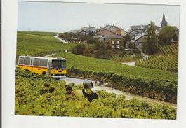 Postauto, bei Féchy,  ca 1970-er Jahre