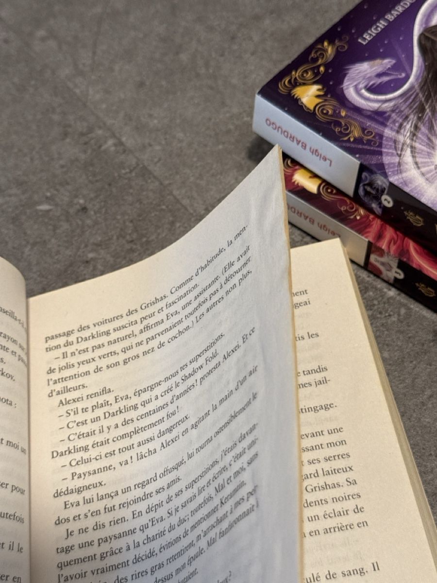 Libri: Grisha - Leigh Bardugo – Usato da Biel/Bienne venduto da pksr 1