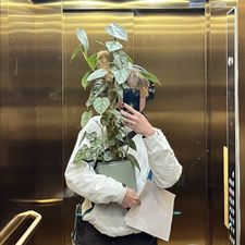 Profile image of madling500