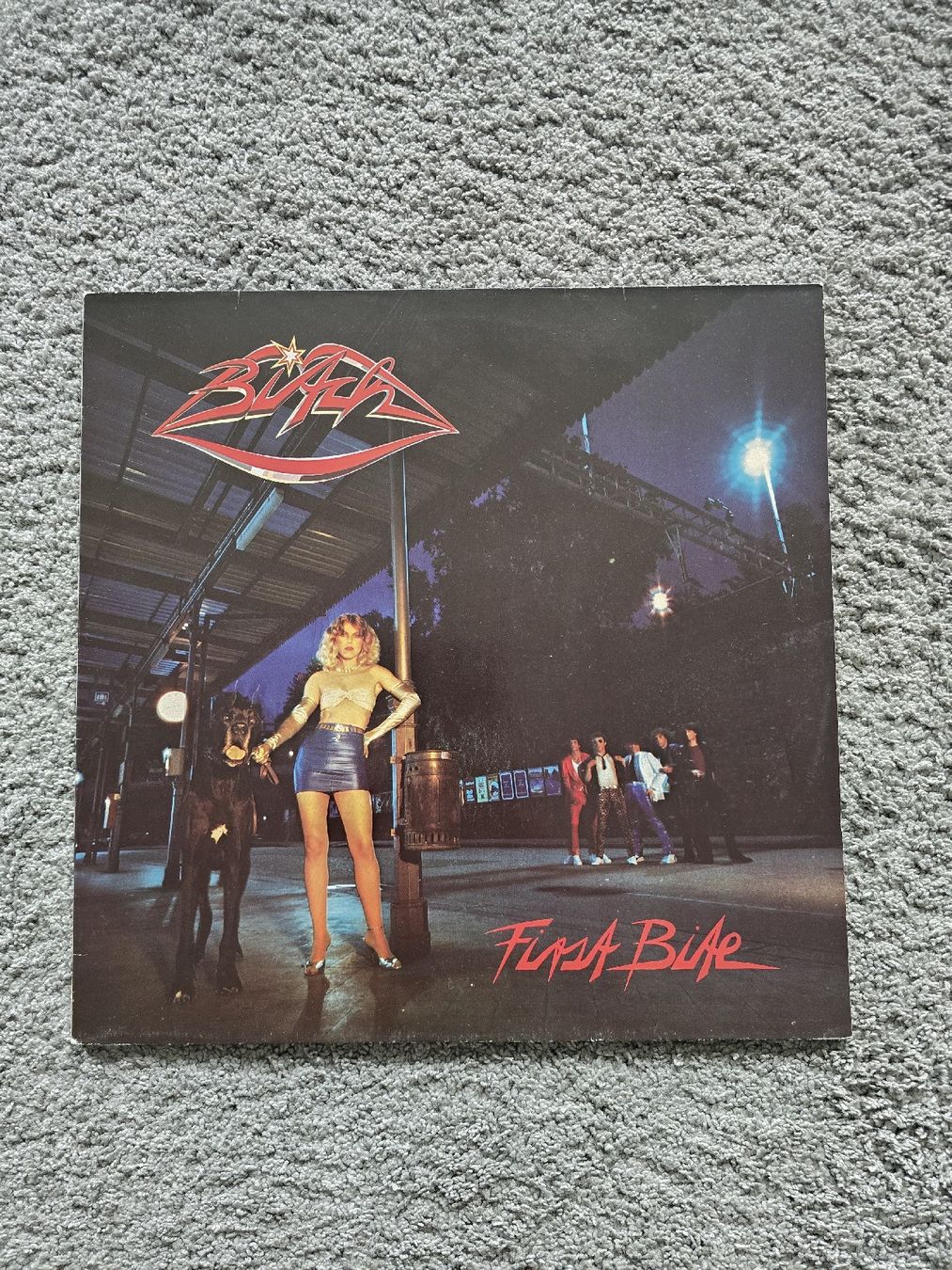 Dischi in vinile: Bitch LP – Usato da Fehraltorf venduto da sca_5j9s