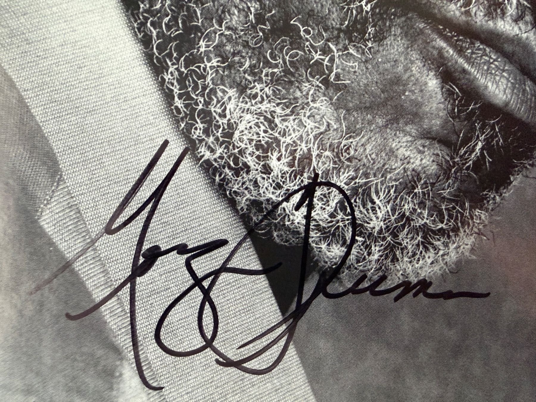 Autographes: MORGAN FREEMAN Original Autogramm ca. 30 x 21 cm +COA!! – Neuf (Voir description) à Solothurn par StarsInYourHome 1