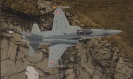 AK Weber J-3095 F-5E