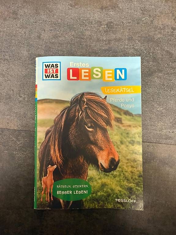 Libri: Erstes Lesen - Pferde Ponys – Usato da Rueras venduto da fscw