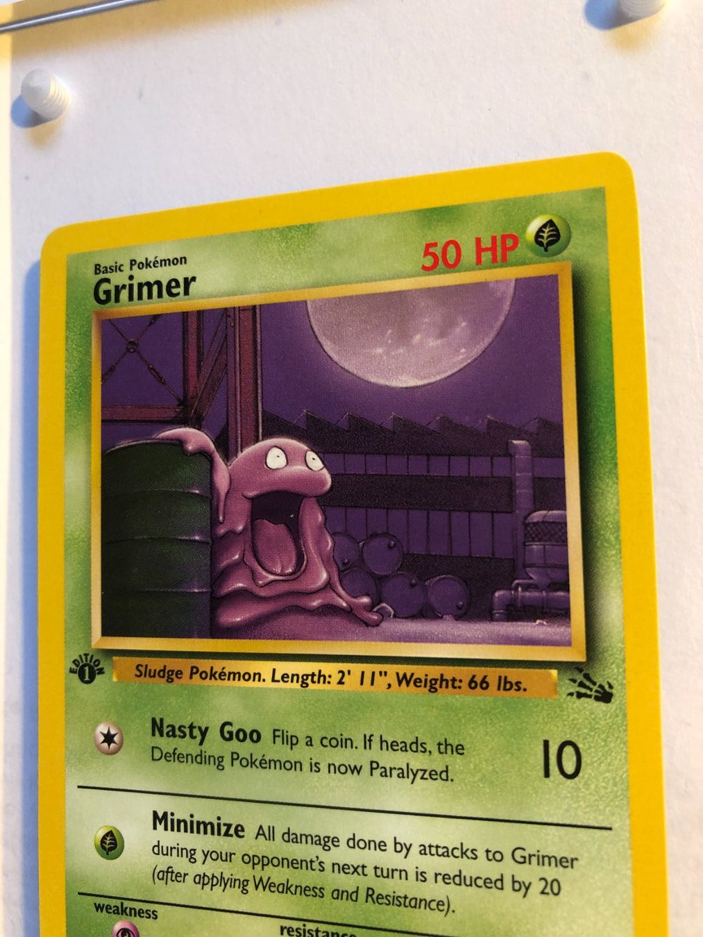 Carte collezionabili: Grimer 1st Fossil - MINT - ab 1.- – Usato da Giubiasco venduto da dan_pr8b 3