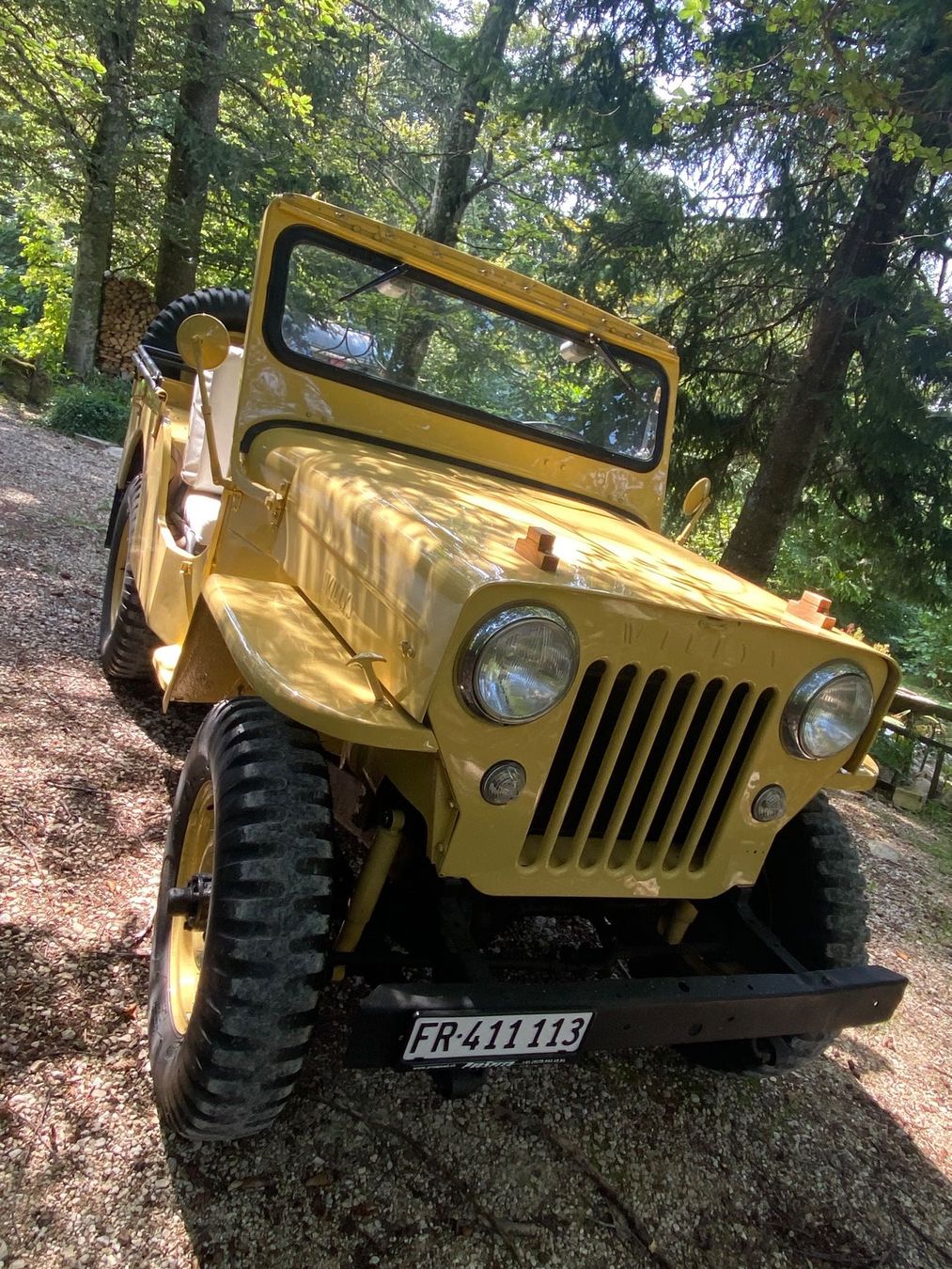 Jeep Automobili: Jeep Willys – Usato da Wünnewil venduto da lihma