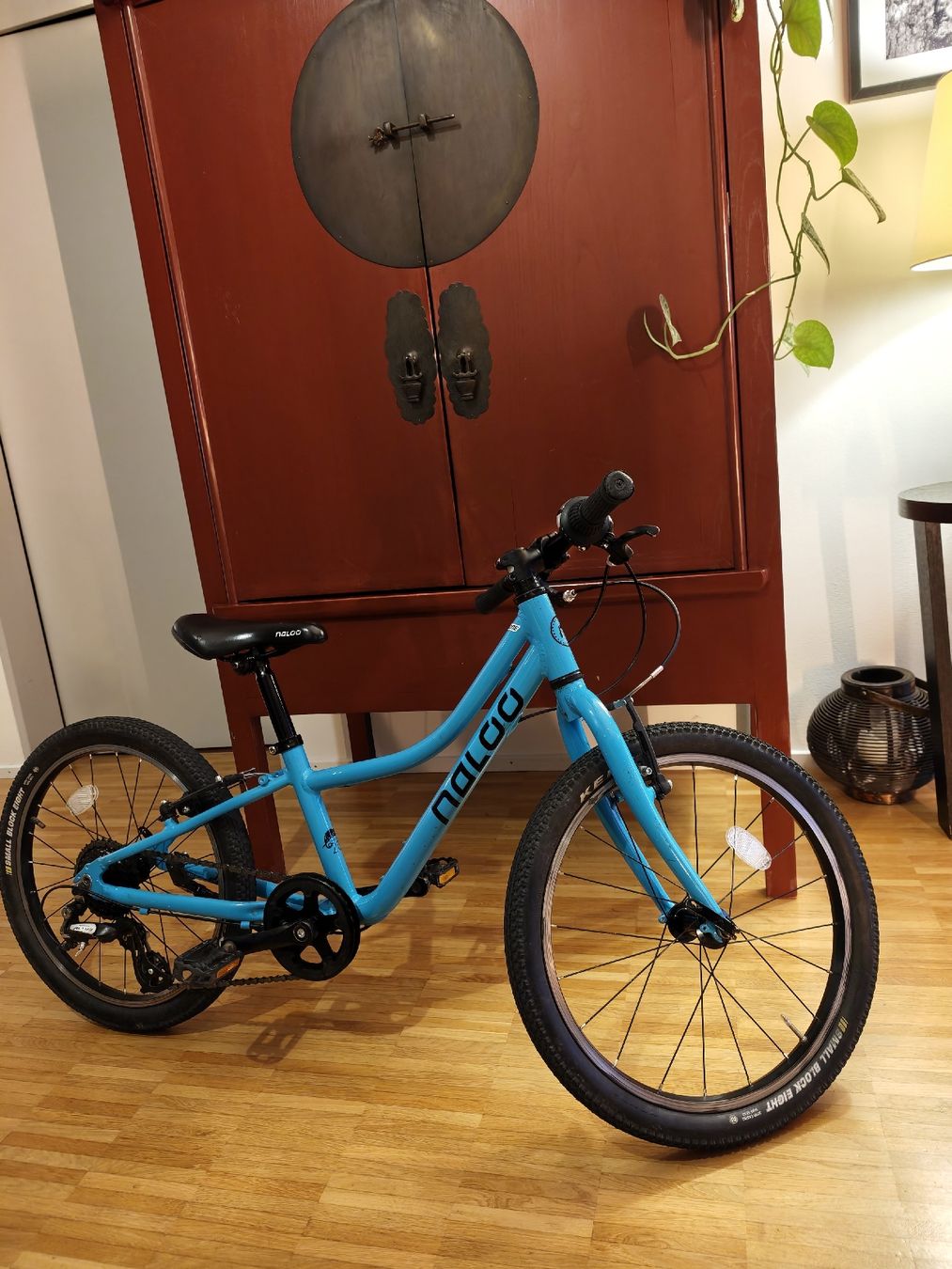 Naloo Velos: Naloo 20 Zoll  – Gebraucht aus Wallisellen von Chic_Living 1