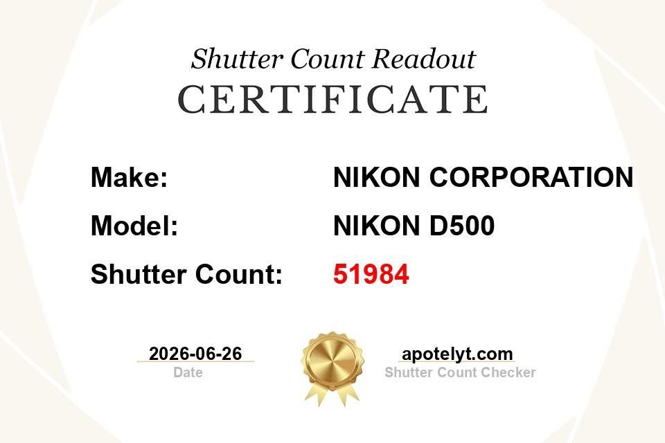 Nikon Kamera: Nikon D500 Body + Ersatzakku – Gebraucht aus Safenwil von RebSve 7